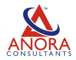 Maid agency: ANORA CONSULTANTS PTE. LTD.(13C6638)