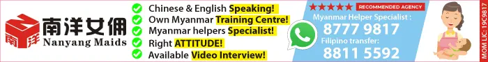 Nanyang maid agency banner